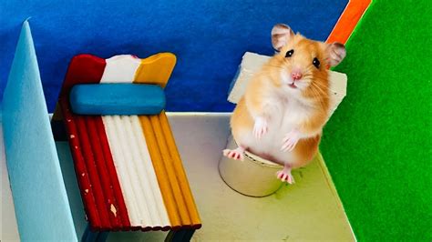 hamster video youtube|Hamster Escapes the Creative Maze for Pets in real life.